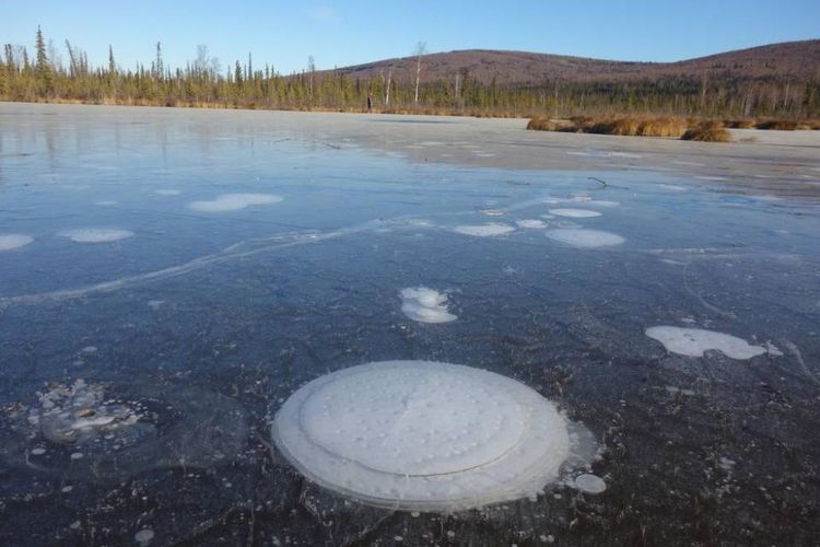 Gelembung Metana di danau Arktik. Nasa menjelaskan hal ini merupakan kabar buruk bagi perubahan iklim kita. (News Week)