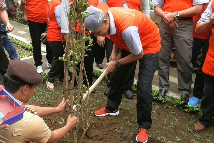 Gubernur Jawa Tengah, Ganjar Pranowo menanam dua pohon sakura di Kebun Raya Baturraden, Banyumas, dalam Peringatan Hari Lingkungan Hidup Sedunia, Rabu (19/7/2017). 