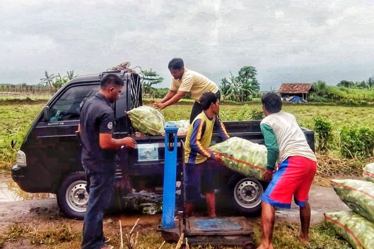 Kementan mengembangkan pemanfaatan lahan kering di Kecamatan Cikeusal, Kabupaten Serang, Banten. Sebagai target utama di wilayah Banten, kecamatan ini memiliki total lahan kering seluas 2.683 hektar.