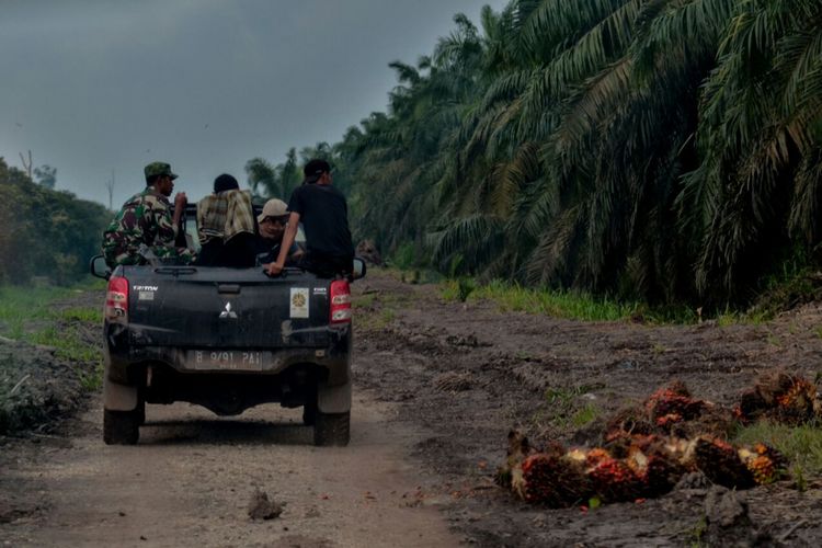 Petugas gabungan BKSDA Riau melakukan patroli di lokasi perkebunan sawit yang sering dilintasi harimau bonita di Desa Tanjung Simpang, Kabupaten Indragiri Hilir, Riau