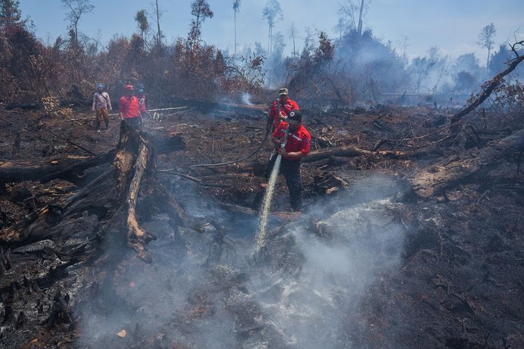 Sejumlah personel pemadam kebakaran dari PT Sumatera Riang Lestari melakukan proses pemadaman kebakaran hutan yang berbatasan dengan konsesi perusahaan di Pulau Rupat Kabupaten Bengkalis, Riau, Rabu (27/2/2019). Kebakaran hutan dan lahan (Karhutla) di Pulau Rupat sudah berlangsung sebulan sejak mulai membara pada 28 Januari 2019, dan tim pemadam gabungan dari Satgas Darurat Karhutla Riau dibantu perusahaan kini mulai bisa mengendalikan kebakaran di daerah tersebut. ANTARA FOTO/FB Anggoro/ama.