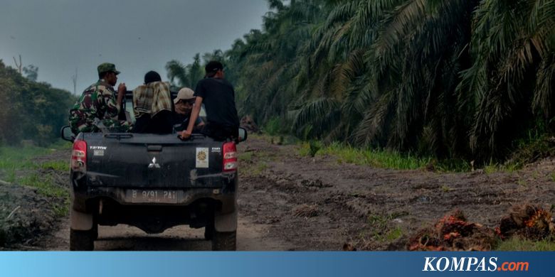 Produktivitas Kerja Karyawan PT THIP Menurut akibat Harimau Bonita