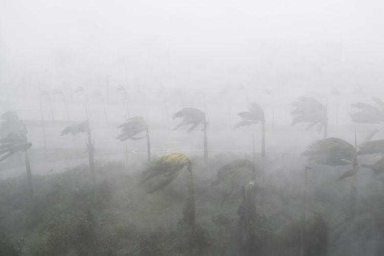 Angin kencang dan hujan dari badai Irma terlihat di Miami, Florida, AS, Minggu (10/9/2017). Irma, salah satu badai Atlantik terkuat dalam satu abad ini, menghantam Kepulauan Karibia, Kuba, hingga Florida, AS, telah menewaskan puluhan orang dan memporak-porandakan permukiman penduduk.