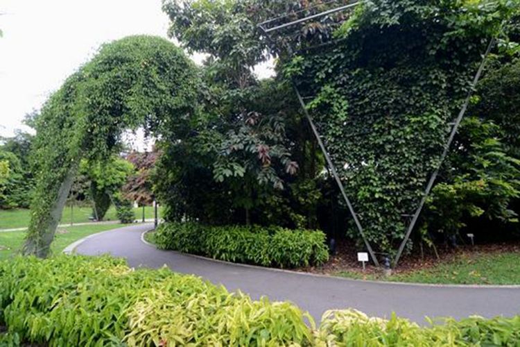 Trellis Garden di Singapore Botanic Gardens.