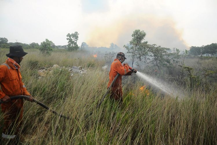 Petugas BNPB mencoba memadamkan kebakaran lahan gambut di desa Rambutan, Ogan Ilir, Sumatera Selatan, Rabu (7/8/2019). Berdasarkan data BPBD Sumatera Selatan kebakaran hutan dan lahan di Sumatera Selatan mencapai 257,9 hektar. ANTARA FOTO/Ahmad Rizki Prabu/wpa/foc.