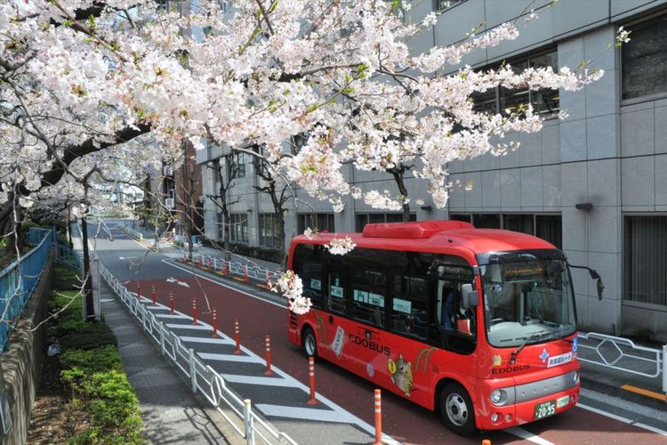 Bus Edo