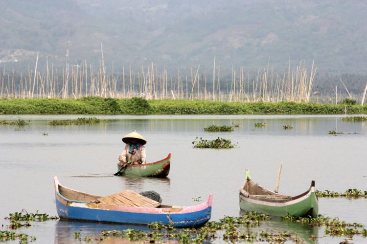 Seorang nelayan sedang mencari ikan di Danau Limboto, Kabupaten Gorontalo. Di Pentadio, pinggiran danau ini akan digelar Konferensi Danau Nusantara