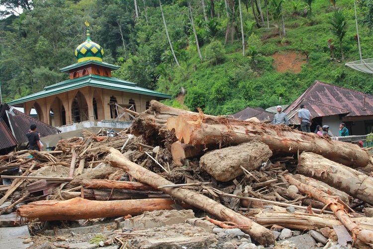 Beberapa warga berada di antara kayu yang terbawa arus sungai pascabanjir bandang yang terjadi, di Desa Muara Saladi, Kecamatan Ulu Pungkut, Mandailing Natal, Sumatra Utara, Sabtu (13/10). Banjir bandang yang terjadi pada Jumat (12/10) melanda sembilan kecamatan di Kabupaten Mandailing Natal. Peristiwa itu menyebabkan sedikitnya 13 orang meninggal dunia dan 10 orang lainnya dinyatakan hilang. ANTARA FOTO/Holik Mandailing/im/kye/18.