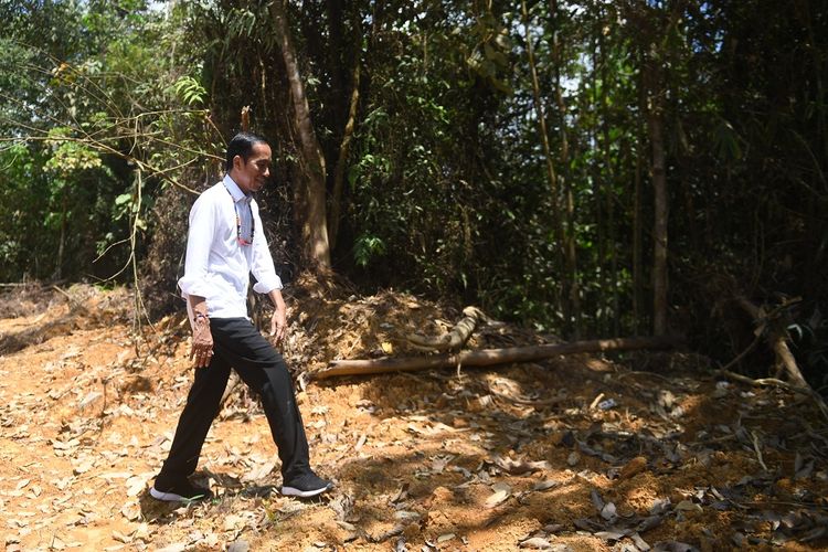 Presiden Joko Widodo berjalan di kawasan hutan saat meninjau salah satu lokasi calon ibu kota negara di Gunung Mas, Kalimantan Tengah, Rabu (8/5/2019). ANTARA FOTO/Akbar Nugroho Gumay/foc.