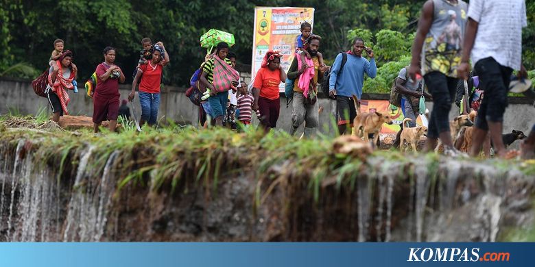 WWF Teliti Ikan Mirip Hiu di Lokasi Banjir Bandang Jayapura