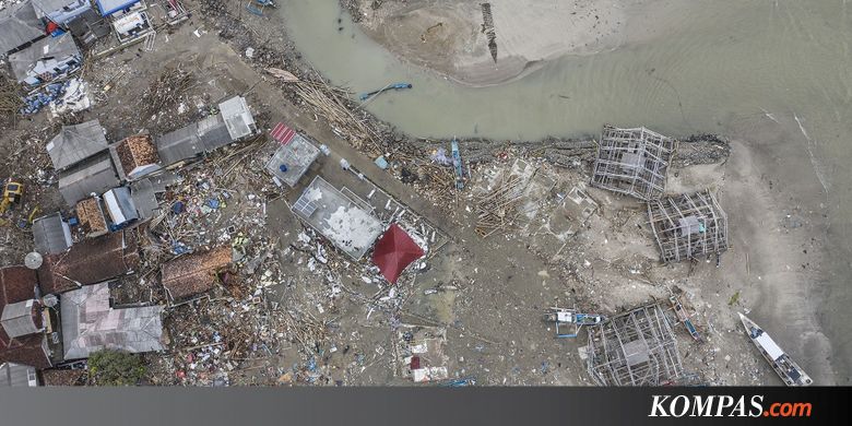 Ahli: Kasus Gigitan Ular Pasca-Tsunami Selat Sunda Hal Wajar