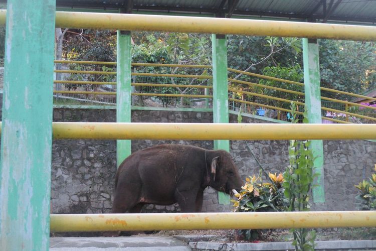 6 Aktivitas Di Obyek Wisata Waduk Gajah Mungkur Halaman All