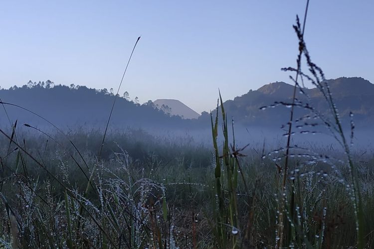 Embun membeku menjadi es di komplek Candi Arjuna Dieng, Kabupaten Banjarnegara, Jawa Tengah, Sabtu (18/5/2019) pagi.