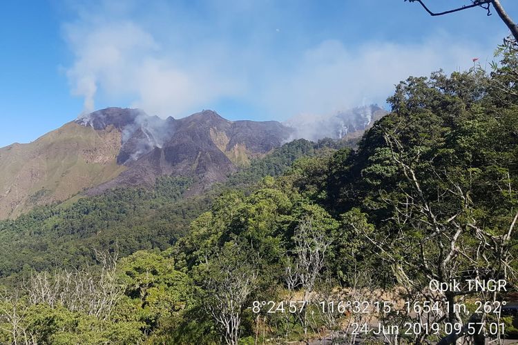 Hutan Bukit Kondo di Kawasan Taman Nasional Gunung Rinjani Kebakaran, Minggu (23/6/2019)