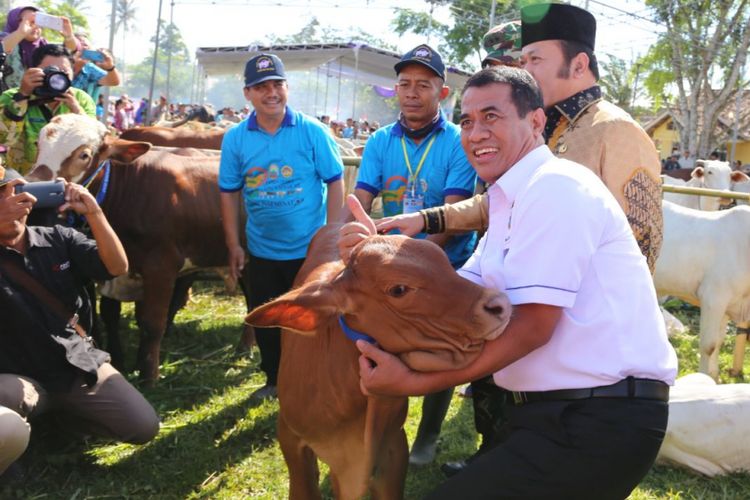 Menteri Pertanian, Andi Amran Sulaiman, saat meresmikan panen anak sapi atau pedet potong hasil Program Upaya Khusus Sapi Indukan Wajib Bunting (Upsus Siwab) Nasional di Lampung Selatan, Kamis (29/3/2018).
