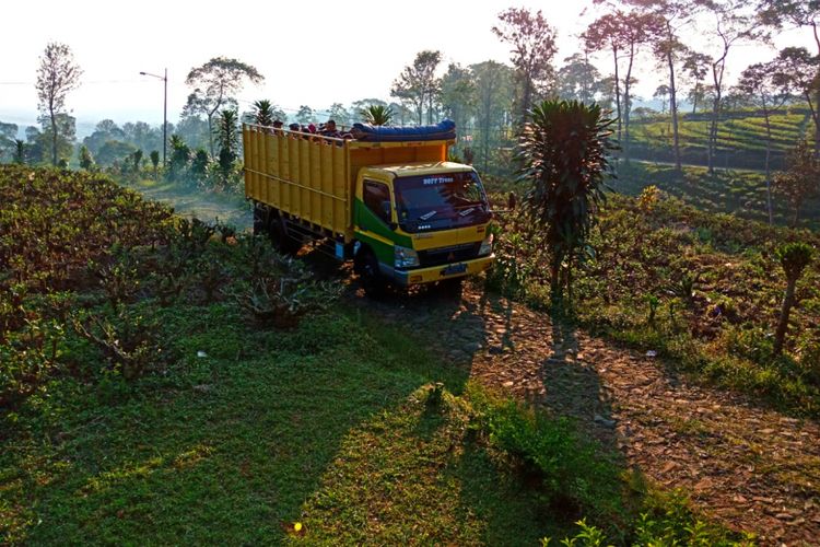 Truk yang digunakan wisatawan berkeliling di kawasan perkebunan teh Pagilaran. Kabupaten Batang, Jawa Barat, Kamis (3/5/2018).