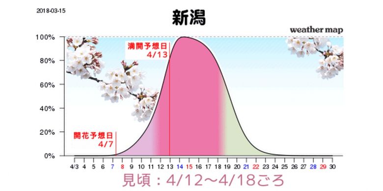 Grafik perkiraan mekarnya sakura di Niigata