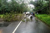 Seorang Guru di Jepara Tewas Tertimpa Pohon Saat Berangkat Bekerja