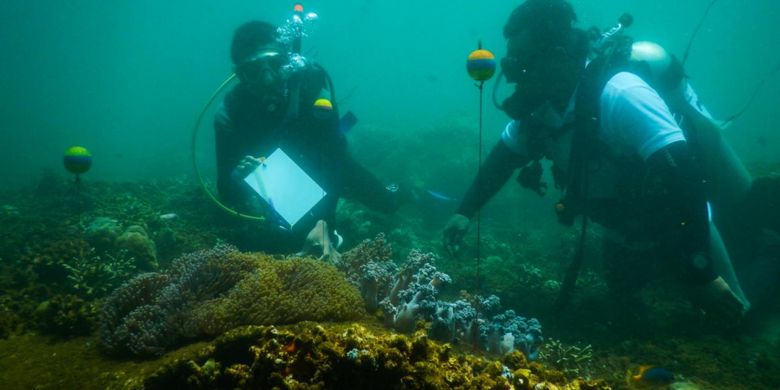 Pengawasan ikan Nemo selama 48 jam di perairan Pantai Bangsring Banyuwangi, Jawa Timur, Jumat (6/4/2018).