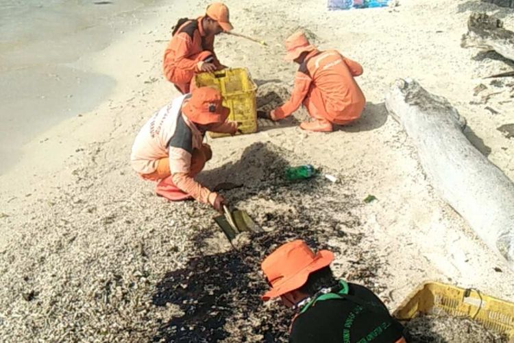 Anggota Suku Dinas Lingkungan Hidup Kepulauan Seribu membersihkan minyak dari pantai Pulau Pari, Minggu (8/4/2018).