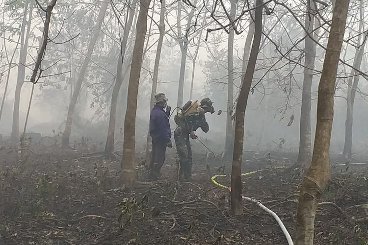 Seorang warga dan prajurit TNI sedang mematikan api karhutla menggunakan pompa penyemprot racun rumput di Kelurahan Terkul, Kecamatan Rupat, Kabupaten Bengkalis, Riau, Minggu (24/2/2019).