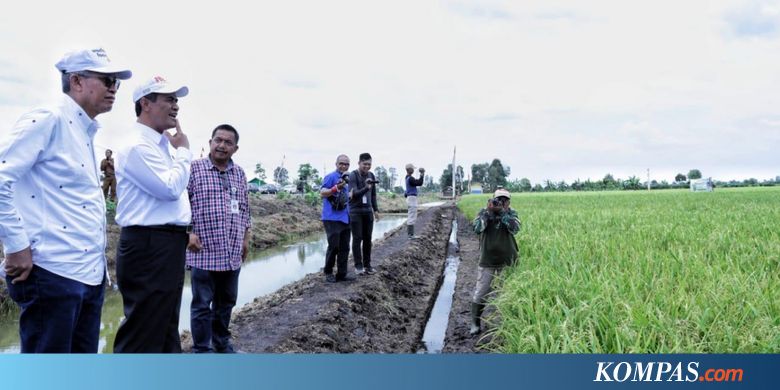 Pengelolaan Air Jadi Kunci Optimalisasi Lahan Rawa
