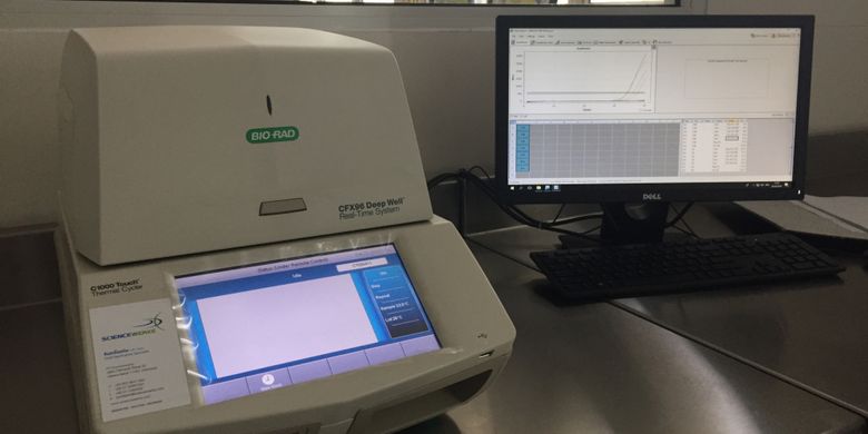 Teknologi Polymerase Chain Reaction (PCR) merupakan teknologi yang mampu mendeteksi bahan haram yang terkandung dalam suatu produk. 