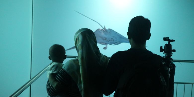 Keluarga yang sedang menyaksikan wahana 5D di Jakarta Aquarium, Selasa (15/8/2017).
