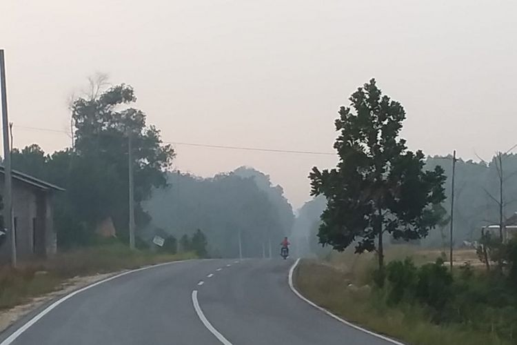 Seorang pengendara melintas di jalan yang diselimuti kabut asap akibat karhutla di Kecamatan Teluk Meranti, Kabupaten Pelalawan, Riau, Senin (11/3/2019).