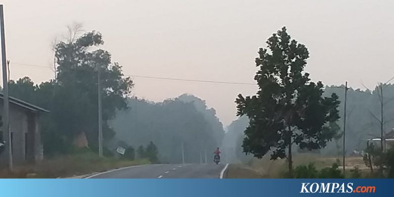 86 Titik Panas Terdeteksi di 8 Wilayah di Riau
