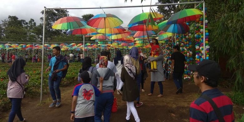 Hiasan payung di Taman Bunga Celosia, Kecamatan Bandungan, Kabupaten Semarang, Jawa Tengah.