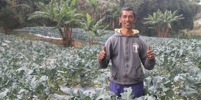 Amid (37), petani binaan program Desa Tani Dompet Dhuafa Jawa Barat di Kampung Areng, Desa Cibodas, Kecamatan Lembang, Kabupaten Bandung Barat, Jawa Barat