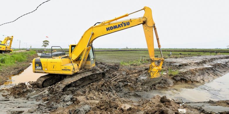 Lahan rawa di Kabupaten Barito Kuala, Kalimantan Selatan 