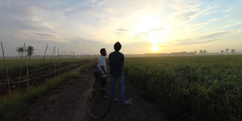 Kementerian Pertanian (Kementan) berkomitmen akan membayar hutang kepada sejumlah perusahaan yang tergabung dalam induk BUMN pupuk.