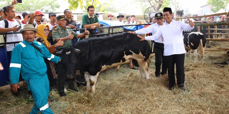 Menteri Pertanian (Mentan) Andi Amran Sulaiman saat menghadiri Kontes Ternak dan Panen Pedet terbesar di Indonesia tahun 2018 di Pasar Induk Puspa Agro, Sidoarjo pada Minggu (28/10/2018)