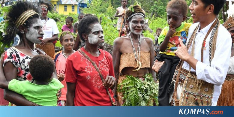 Kesehatan dan Infrastruktur, Fokus Presiden Jokowi untuk Perbaikan Asmat