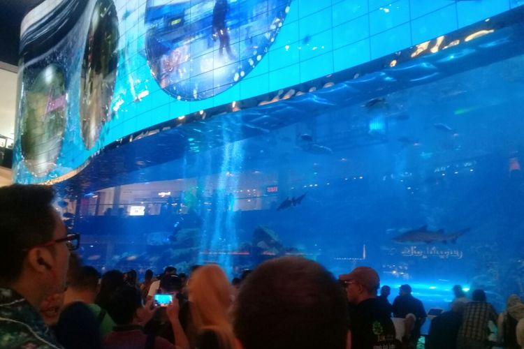 Akuarium terbesar di mall di Dubai Mall dengan tebal kaca hingga 75 sentimeter, Sabtu (28/10/2017). Gelembung-gelembung di atas akuarium berfungsi sebagai sarana iklan. 