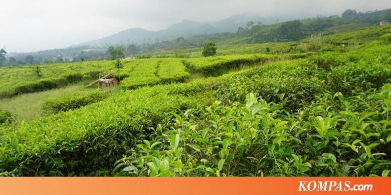 5 Obyek Wisata dan Kuliner Sekitar Tol Cipali