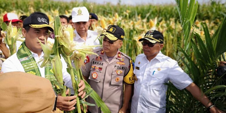 Menteri Pertanian Andi Amran Sulaiman saat kunjungan ke Desa Lariang Kecamatan Tikke Raya, Kabupaten Pasang Kayu, Sulawesi Barat, Rabu (31/10/2018).