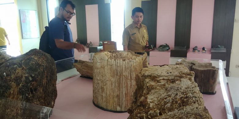 Fosil kayu koleksi Etalase Taman Batu di Mulo, Kecamatan Wonosari, Gunungkidul, DI Yogyakarta, Selasa (13/11/2018).