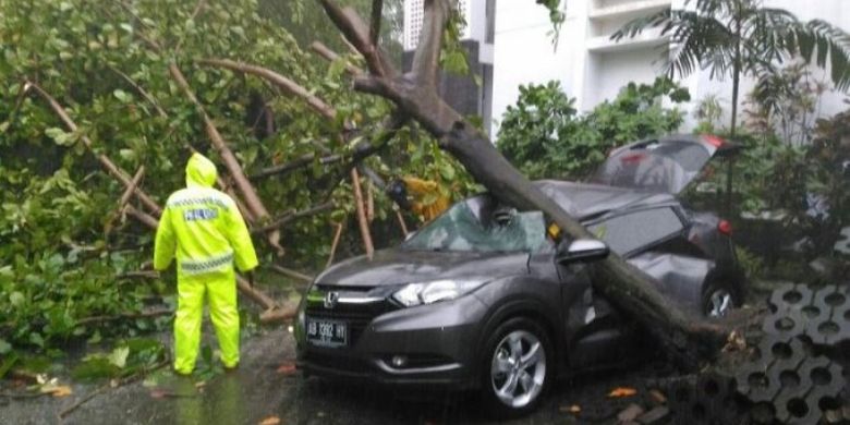 Sebuah mobil Honda HRV tertimpa pohon tumbang di area kampus UGM setelah hujan deras disertai angin melanda Yogyakarta, Selasa (21/3/2017). 