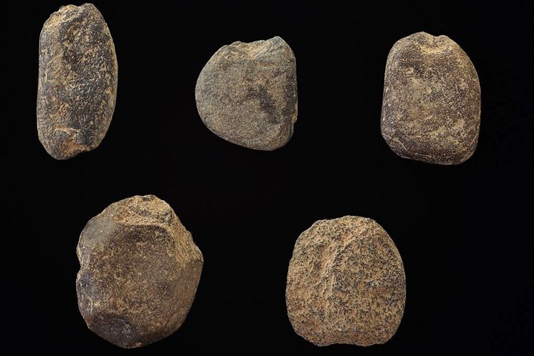 Dalam foto yang dirilis pada Selasa (7/8/2018) oleh Museum Universitas Yonsei, Korea Selatan memperlihatkan batu-batu yang digunakan untuk menenggelam jala pencriikan di gua Maedun, wilayah timur Korea Selatan. 