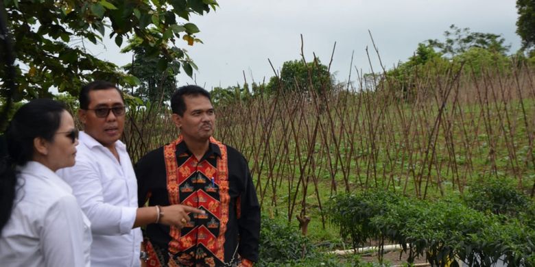 Direktur Jenderal Hortikultura Kementerian Pertanian, Suwandi (pakai baju hitam) bersama dua orang dari anggota Komisi IV DPR RI berkunjung ke lokasi pengembangan kawasan cabai di Kelompok Tani Maju Mandiri di Kelurahan Setokok, Kecamatan Bulang, Kota Batam, Riau, Kamis (1/11/2018).