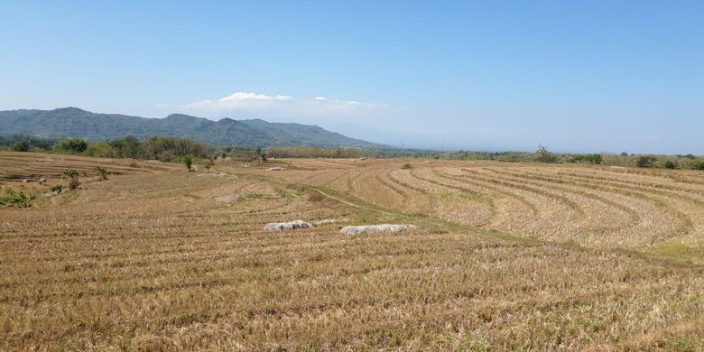 Ratusan hektar lahan sawah di Kabupaten Magetan, Jawa Timur mengalami kekeringan