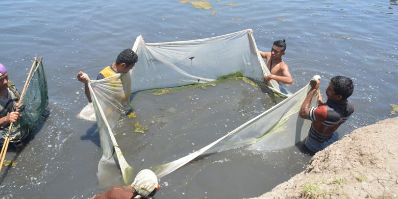 Warga sedang menangkap ikan dan biota lainnya di Limbu (kolam) Mbupu Lea dan Amu di Nangarawa, Desa Bamo, Kecamatan Kota Komba, Kabupaten Manggarai Timur, Flores, NTT, Minggu (28/10/2018). 