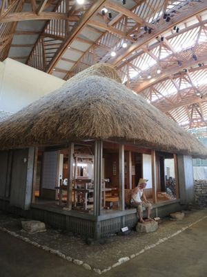 Ichioshi di Amami Park di Prefektur Kagoshima 