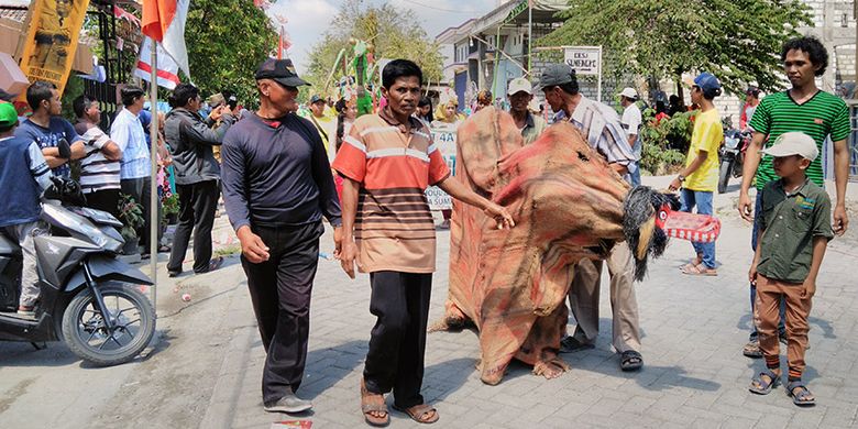 Replika sapi kurban yang berasal dari karung goni, yang ditampilkan dalam karnaval sedekah bumi di Desa Sumari, Gresik, Jatim, Minggu (19/8/2018).