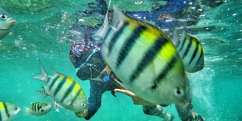 Seorang pengunjung snorkeling di Pantau Nglambor, Desa Purwodadi, Kecamatan Tepus, Gunungkidul, DI Yogyakarta.