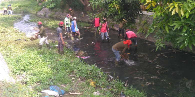 Petugas dari Dinas PUPR Kota Kediri mulai membersihkan bangkai ikan di Sungai Kresek, Sabtu (22/12/2018)