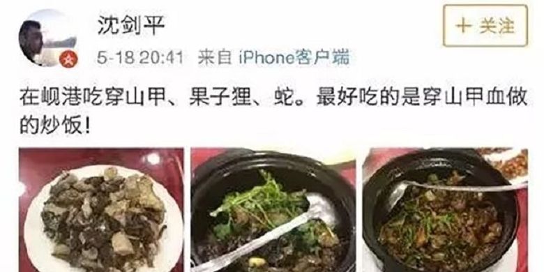 Inilah postingan di Weibo seorang pria bernama Shen Jianping yang memperlihatkan dia makan daging trenggiling dan musang. Dia kemudian dipecat setelah dianggap menjatuhkan citra perusahaan.